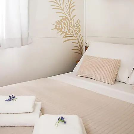 Pet Friendly Stacaravan In With Wifi 3*