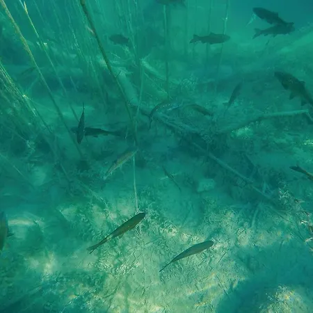 Pet Friendly Stacaravan In With Wifi 3* Drniš