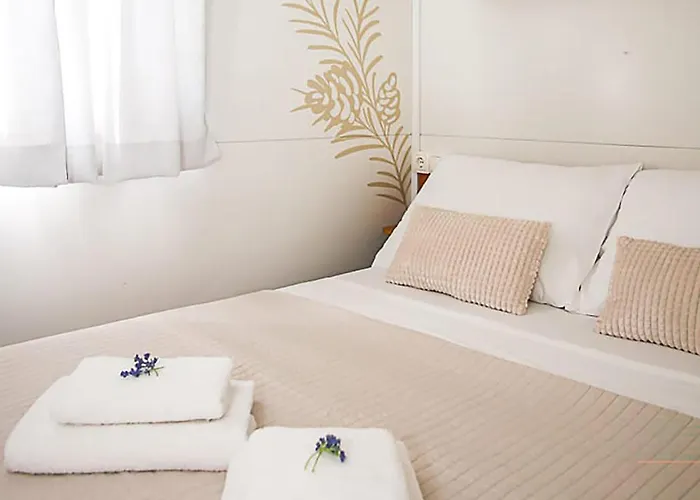 Pet Friendly Stacaravan In With Wifi 3*