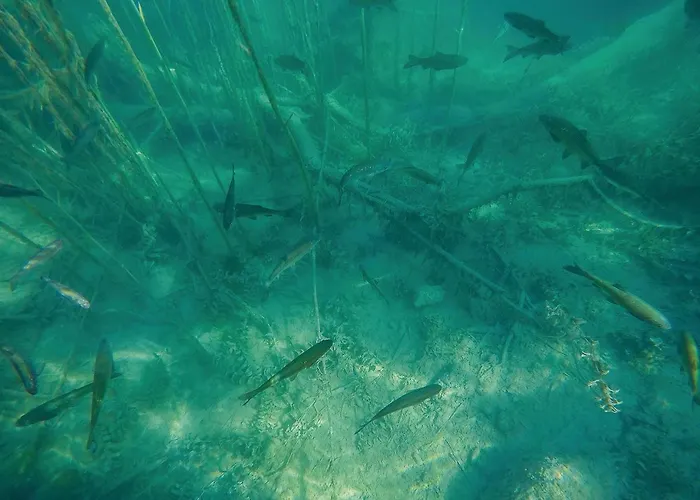 Pet Friendly Stacaravan In With Wifi 3* Drniš