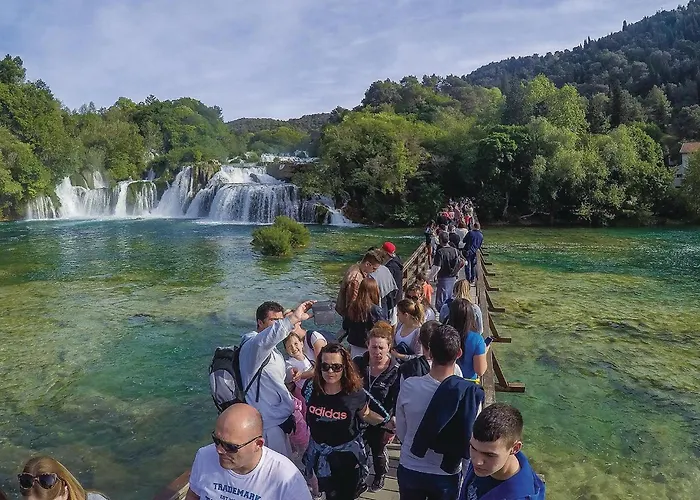 Pet Friendly Stacaravan In With Wifi